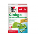 Viên Uống Bổ Não Doppelherz Aktiv Ginkgo + Vitamin B + Cholin Đức