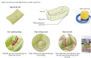 Chậu Tắm Phao Cho Bé Richell Nhật Bản