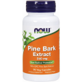 Viên Chống Oxy Hóa Now Pine Bark Extract 240mg