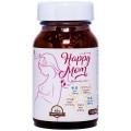 Viên Vitamin Tổng Hợp Cho Bà Bầu Jpanwell Happy Mom