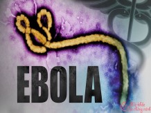 Ebola là gì? Các dấu hiệu nhận biết bệnh virus Ebola
