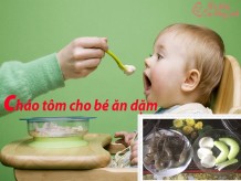 Mách mẹ 6 công thức nấu cháo tôm ngon nhất cho bé ăn dặm