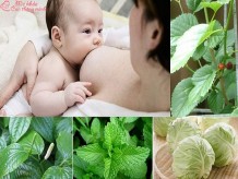 Mẹ cho con bú không nên ăn gì để tốt sữa, bé cao lớn khỏe mạnh