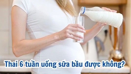 Thai 6 tuần uống sữa bầu được không? Loại nào tốt cho thai nhi