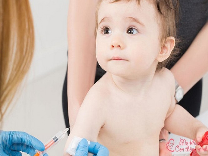 Những thông tin cần biết về tiêm phòng vắc – xin viêm não Nhật Bản