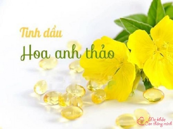 10 tác dụng thần kỳ của tinh dầu hoa anh thảo, ai cũng phải biết