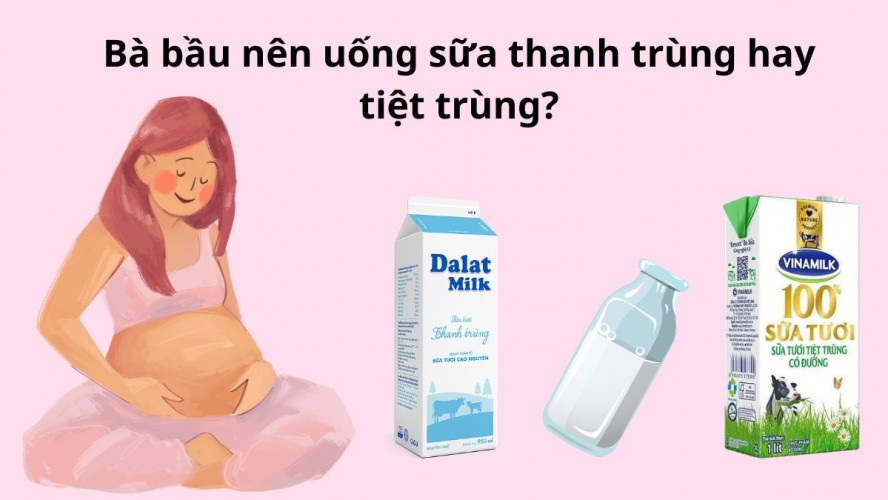 Bà bầu nên uống sữa thanh trùng hay tiệt trùng? Loại nào tốt cho mẹ bầu?