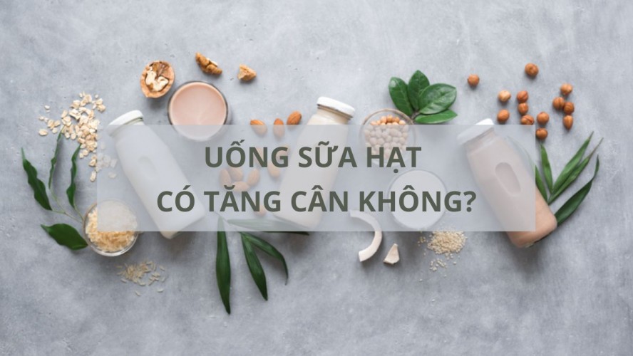 Uống sữa hạt có tăng cân không? Cách uống sữa hạt giảm cân hiệu quả