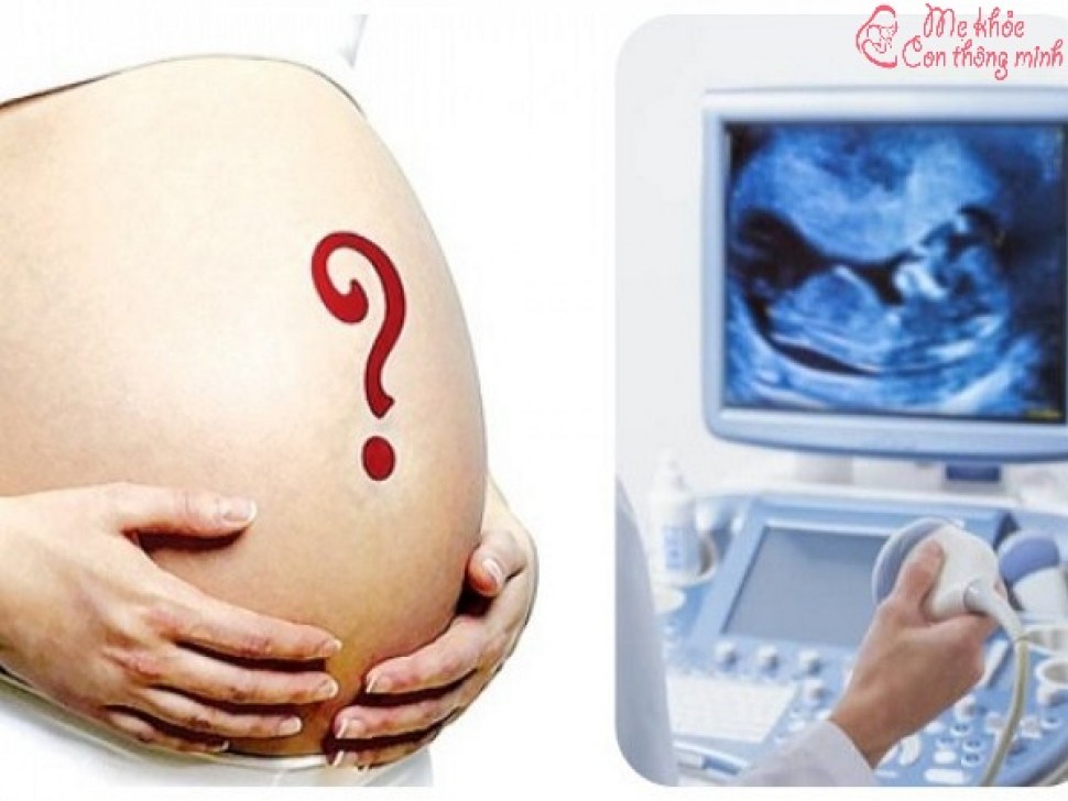 Bộ phận sinh dục thai nhi 14 tuần phát triển như thế nào