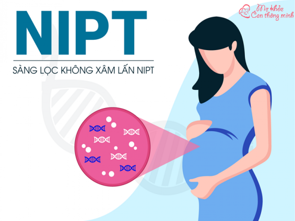 Xét nghiệm NIPT là gì? Cách đọc kết quả Nipt biết trai hay gái không?