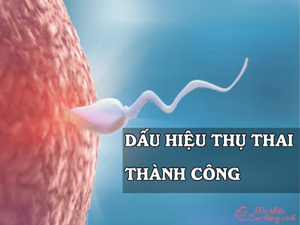 Dấu hiệu nhận biết rụng trứng gặp tinh trùng, thụ thai thành công