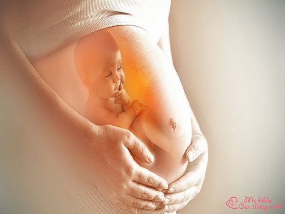 Ngôi thai ngược là gì? Những điều mẹ nên biết về ngôi thai ngược