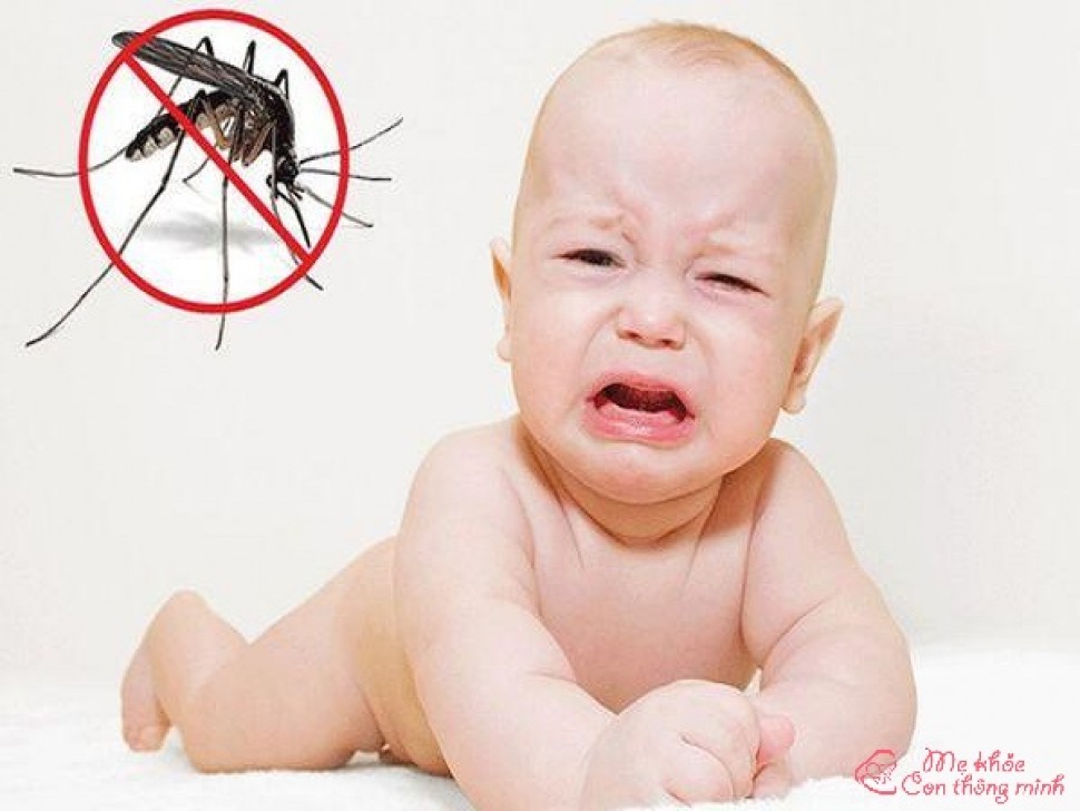 Cách trị muỗi đốt cho bé cực nhanh, cực nhạy tại nhà