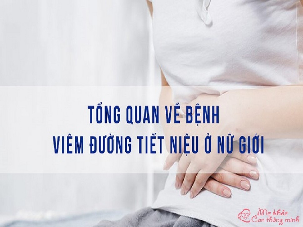 Những thông tin không nên bỏ qua về bệnh viêm đường tiết niệu nữ