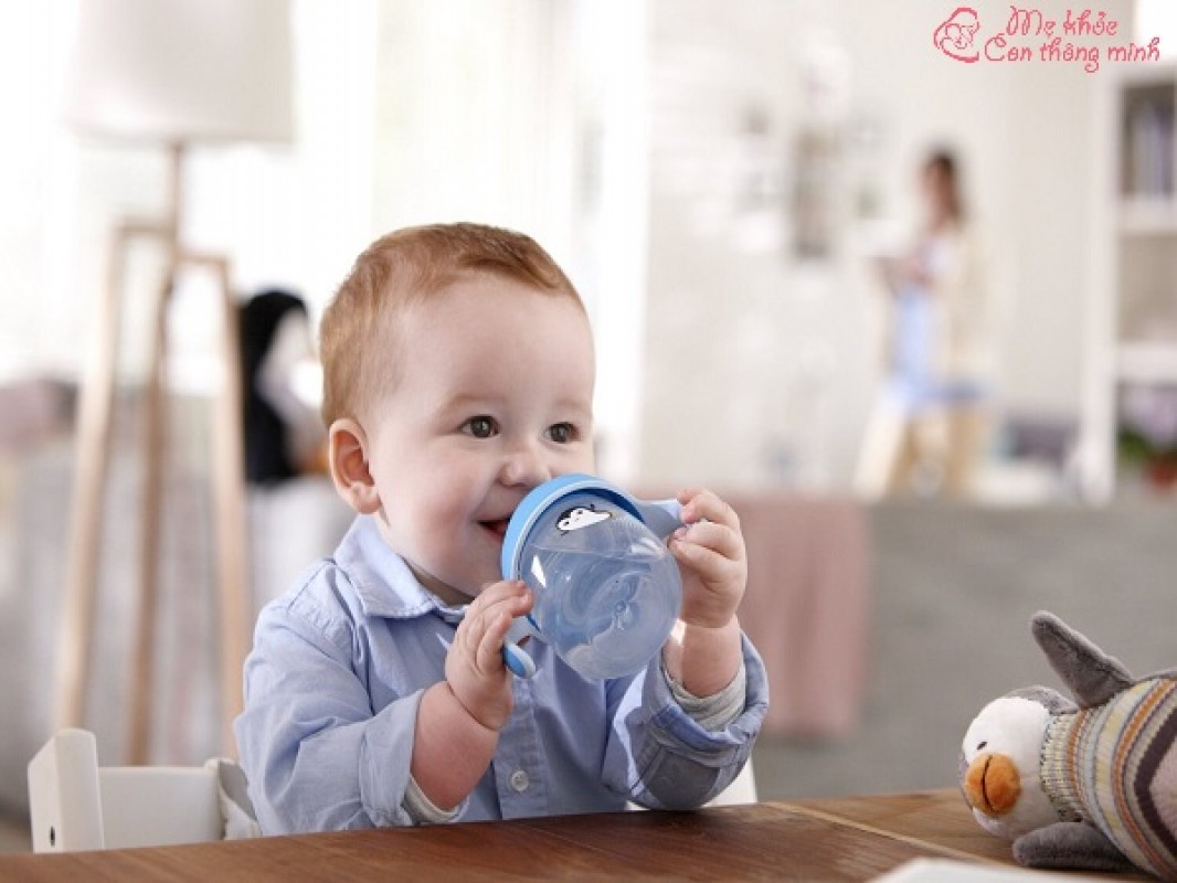 Top 5 Bình Tập Uống Sữa Cho Bé Tốt Nhất 2023, Bạn Nên Tham Khảo