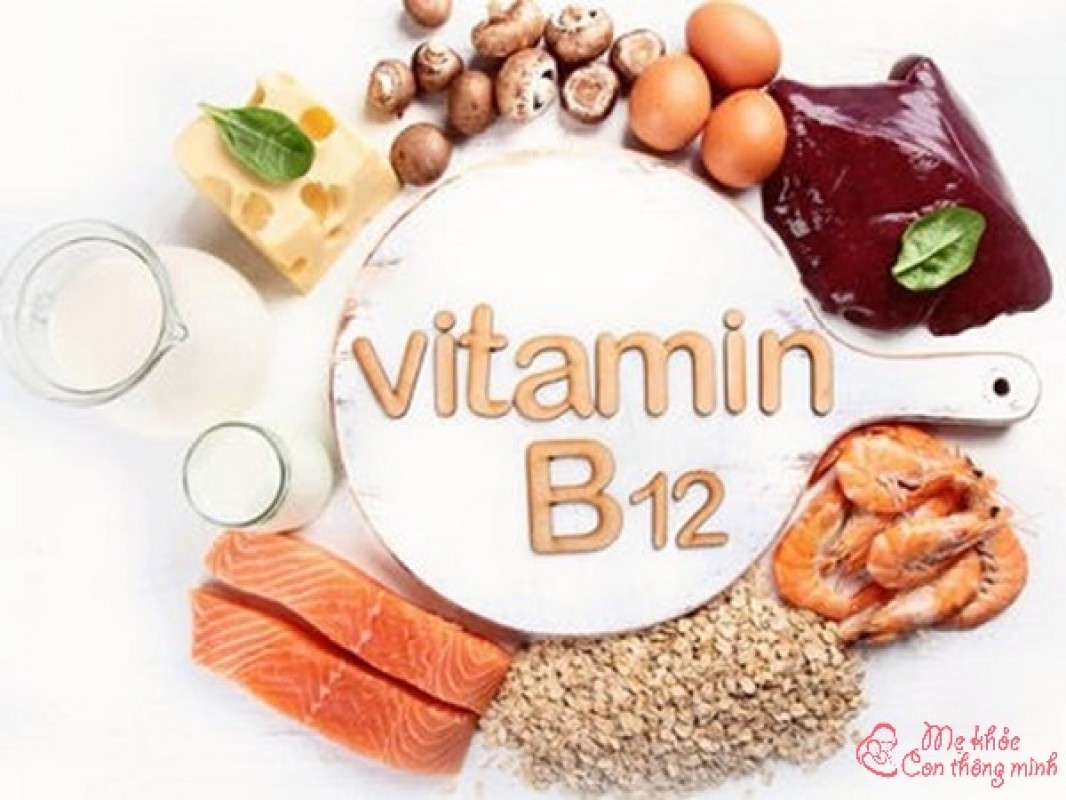 Vitamin B12 Có Trong Thực Phẩm Nào? 10 Thực Phẩm Giàu Vitamin B12 Nhất