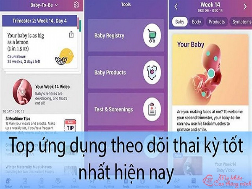 Top 5 App Theo Dõi Thai Kỳ Tốt Nhất 2023, Mẹ Bầu Không Nên Bỏ Qua