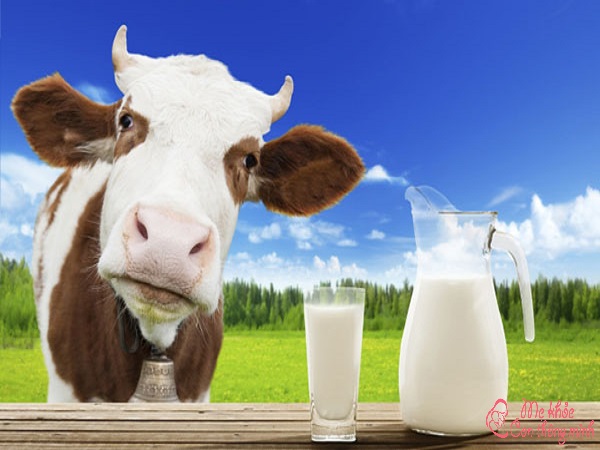 sữa tươi nguyên kem dùng để làm gì, sữa nguyên kem là gì, sữa tươi nguyên kem là gì, sữa bột nguyên kem dùng để làm gì, sữa nguyên kem, sữa bột nguyên kem là gì, sữa bột nguyên kem, bột sữa nguyên kem là gì, bột sữa dê nguyên kem, sữa nguyên kem là sữa gì, sữa tươi nguyên kem, nguyên kem là gì, sữa bột là gì, sua kem, sữa nguyên kem dùng làm gì, sữa bột làm từ gì, sữa bột được làm từ gì, sữa bột tách béo là gì, sữa kem, sua nguyen kem la gi, sữa nguyên kem cho người gầy, sữa nguyên kem làm món gì, sữa bột béo là gì, bột nguyên kem dùng để làm gì, bột sữa nguyên kem, sua nguyen kem, sữa bột gầy là gì, sữa bột nguyên kem giúp tăng cân, kem sữa tươi là gì, sữa thanh trùng nguyên kem, sữa tách kem là gì, nguyên kem, mua sữa bột nguyên kem ở đâu, sữa nguyên kem có béo không, sữa nguyên kem cho bé, sữa bột béo nguyên kem, các loại sữa nguyên kem, sữa bò nguyên kem, sữa tươi nguyên kem làm món gì, sữa nguyen kem, các loại sữa nguyên kem cho bé, sữa nguyên kem cho bé 1 tuổi, sữa bò tươi nguyên chất có tác dụng gì, các loại sữa tươi nguyên kem dạng nước, kem là gì, sua nguyen kem nao tot cho be, sữa chua nguyên kem, sữa bột nguyên kem làm món gì, kem sữa là gì, sữa nguyên kem tăng cân, uống sữa nguyên kem có tốt không, bột nguyên kem, sữa tươi nguyên kem tăng cân, sữa béo là gì, kem la gi, sữa bột nguyên kem của nhật, sữa tách béo là gì, các loại sữa tươi nguyên kem