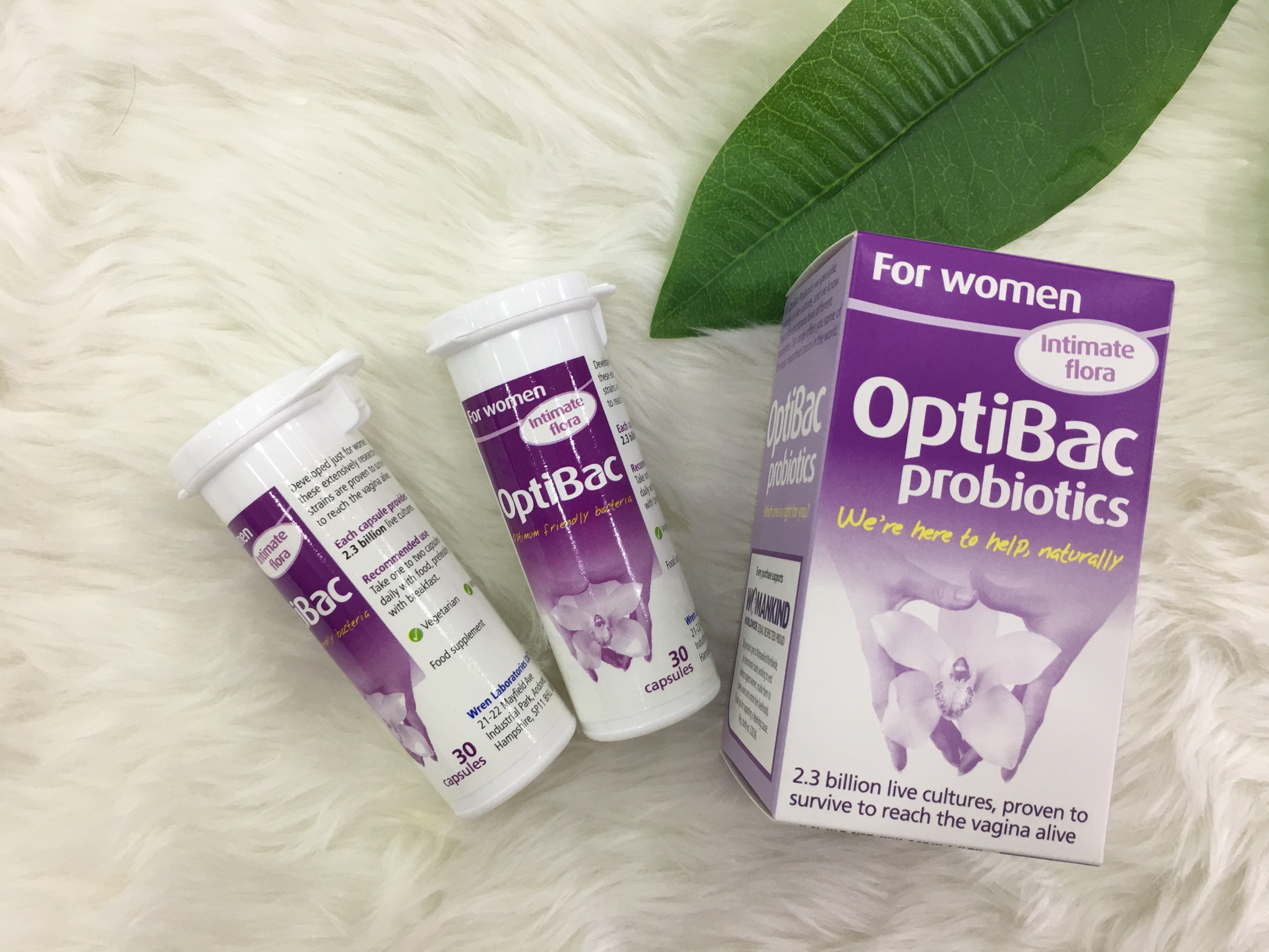 optibac tím, men vi sinh optibac tím, optibac tím chính hãng, optibac probiotics tím, optibac probiotics intimate flora, optibac tim, optibac, men vi sinh cho phụ nữ, có mẹ nào dùng optibac tím chưa, optipac, otibac, men optibac, men tím, opti bac, opti bạc, men optibac tím, men vi sinh optibac, men phụ khoa optibac, men vi sinh tím, optibac tím review, optiba, optibac tím cho bà bầu, cách sử dụng optibac tím, review optibac tím, otipac, opibac, optic bạc, cách uống optibac tím, cách dùng optibac tím, men lactopic, probiotic cho phụ nữ, opticbac, obtibac, optibac 90 viên, optibax, poptibac, otipbac, optibac tím có dùng được cho bà bầu, optibac tím uống trong bao lâu, review viên uống optibac tím, tác dụng optibac tím, optibac probiotics, optibsc, men vi sinh cho nữ, optic bac, optipac tím, optibac cho phụ nữ, optibac tím 90 viên, các loại optibac, men otipac, optibqc, optobac, actibac, men tím optibac, men vi sinh otipac, opatic, optbac, optib, optibas, optilac, optimac, optinam, otibac tím, otipax tím, optibac tím có dùng được cho bà bầu không, optibac tím mua ở đâu, men otipac tím, optibac tím có hàng giả không, phần biệt optibac tím thật và giá, có mẹ nào dùng optibac tím chữa, optibac tím cách dùng, optibac probiotic, thuốc optibac có tác dụng gì