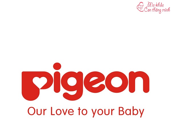 pigeon, pigeon việt nam, pigeon nhật bản, pigeon của nước nào
