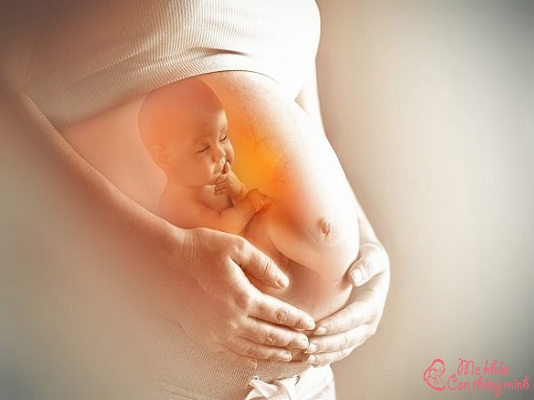 yếu tố khiến ngôi thai bị ngược, ngôi thai ngược có nguy hiểm không, ngôi thai ngược có dấu hiệu chuyển dạ không, ngôi thai ngược có sinh thường được không, ngôi thai ngược có chuyển dạ không, thai ngược có chuyển dạ không, đặc điểm của người đẻ ngược