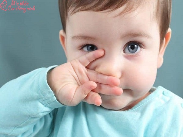 rửa mũi cho trẻ sơ sinh, cách vệ sinh mũi cho trẻ sơ sinh, vệ sinh mũi cho trẻ sơ sinh, cách rửa mũi cho trẻ sơ sinh, cách rửa mũi cho bé, cách rửa mũi cho trẻ, rửa mũi đúng cách cho bé, cách nhỏ mũi cho trẻ sơ sinh, rửa mũi cho bé, rửa mũi cho trẻ, hướng dẫn rửa mũi trẻ sơ sinh, rửa mũi đúng cách cho trẻ, cách rửa mũi cho trẻ sơ sinh bằng nước muối, cách vệ sinh mũi cho bé sơ sinh, rua mui cho tre, vệ sinh mũi cho bé, nước rửa mũi cho trẻ sơ sinh, rửa mũi cho trẻ đúng cách, rửa mũi cho bé sơ sinh, có nên rửa mũi cho trẻ sơ sinh không, rửa mũi cho bé đúng cách, cách hút mũi cho trẻ sơ sinh, rửa mũi cho trẻ sơ sinh đúng cách, rửa mũi trẻ sơ sinh, có nên rửa mũi cho trẻ sơ sinh, cách vệ sinh mũi cho bé, có nên rửa mũi cho bé, cách vệ sinh mũi cho trẻ, rua mui cho tre so sinh, nuoc rua mui cho tre so sinh, có nên rửa mũi cho trẻ, hút mũi cho trẻ sơ sinh, có nên rửa mũi cho trẻ sơ sinh hàng ngày, cách hút mũi bằng miệng cho trẻ sơ sinh, cách rửa mũi cho bé sơ sinh, dụng cụ rửa mũi cho trẻ sơ sinh, máy rửa mũi cho bé, cách rửa mũi, cách rửa mũi cho trẻ sơ sinh bằng xilanh, xịt rửa mũi cho trẻ sơ sinh, cách hút mũi cho trẻ sơ sinh 1 tháng tuổi, hút mũi cho trẻ sơ sinh đúng cách, có nên cho trẻ sơ sinh hút mũi bằng máy, cách sử dụng máy hút mũi cho trẻ sơ sinh, cách rửa mũi đúng cách, hướng dẫn rửa mũi cho trẻ sơ sinh, cách vệ sinh mũi cho trẻ sơ sinh bị ngạt mũi, cách rửa mũi cho bé 2 tuổi, cách nhỏ mũi cho bé, có nên hút mũi cho trẻ sơ sinh, cách hút mũi trẻ sơ sinh, hướng dẫn vệ sinh mũi cho trẻ sơ sinh, nước rửa mũi cho bé, dụng cụ hút đờm cho trẻ sơ sinh, hút đờm cho trẻ sơ sinh