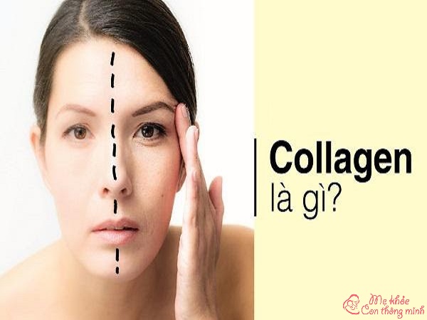 collagen có tác dụng gì, collagen có tác dụng gì cho da, collagen có tác dụng gì cho da mặt, collagen có tác dụng gì cho xương khớp, collagen có tác dụng gì cho tóc, collagen có tác dụng gì cho phụ nữ, collagen có tác dụng gì với tóc, collagen có tác dụng gì cho cơ thể, collagen có tác dụng gì với da, collagen có tác dụng gì với cơ thể