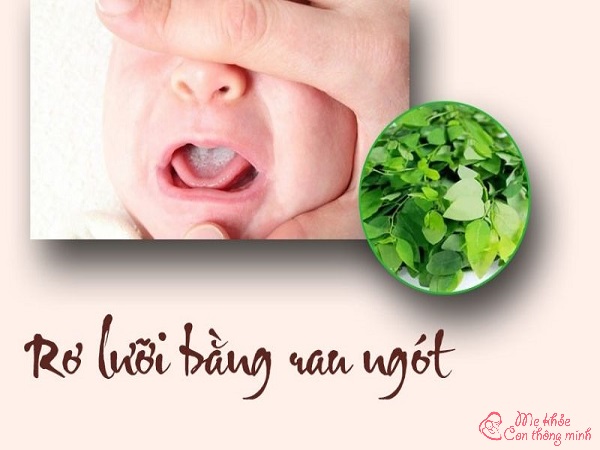 rơ lưỡi cho trẻ sơ sinh, rơ lưỡi cho trẻ sơ sinh bằng mật ong, rơ lưỡi cho trẻ sơ sinh bằng gì tốt, rơ lưỡi cho trẻ sơ sinh bằng rau ngót, rơ lưỡi cho trẻ sơ sinh khi nào, rơ lưỡi cho trẻ sơ sinh bằng chanh, rơ lưỡi cho trẻ sơ sinh bằng nước muối sinh lý, rơ lưỡi cho trẻ sơ sinh bằng nước gì, rơ lưỡi cho trẻ sơ sinh loại nào tốt
