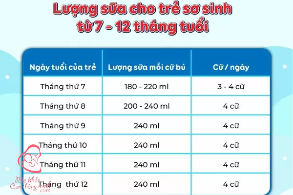 Lượng sữa cho bé từ 7- 12 tháng tuổi