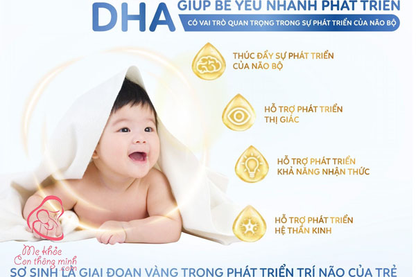 DHA tham gia vào quá trình hình thành, phát triển của não bộ, thị giác