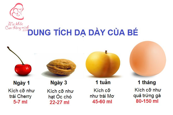 Cho trẻ ăn 2/3 dung tích dạ dày để tránh nôn trớ