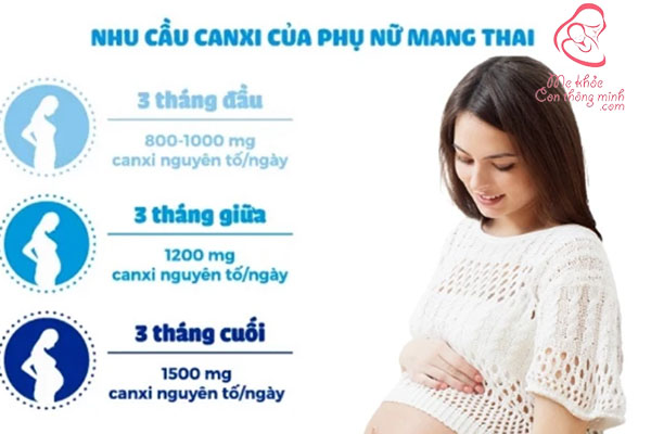 bổ sung canxi cho bà bầu từ tháng thứ mấy? Hàm lượng canxi cho mẹ bầu