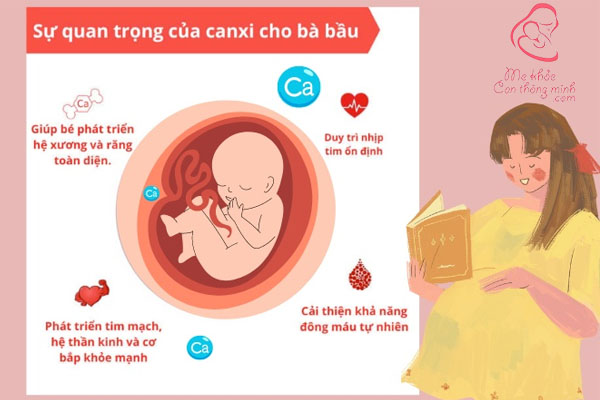 Canxi là khoáng chất quan trọng với mẹ bầu và thai nhi